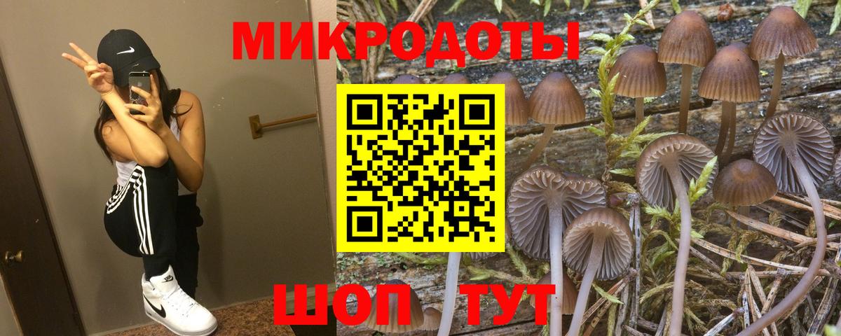 Псилоцибиновые грибы Magic Shrooms  Вход с VPN  Сунжа 