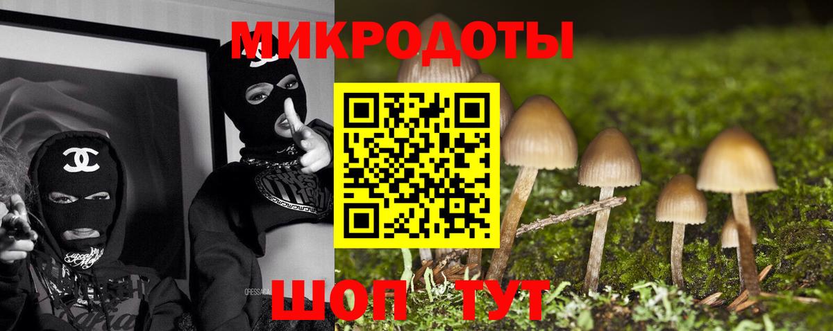 Псилоцибиновые грибы ЛСД Сунжа