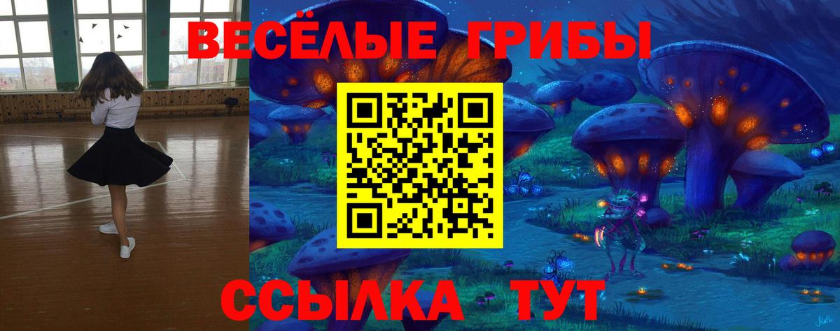 Псилоцибиновые грибы мицелий Сунжа